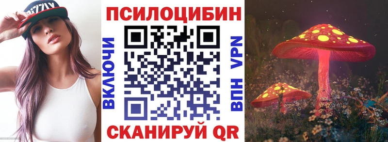 Псилоцибиновые грибы ЛСД  маркетплейс наркотические препараты  Вышний Волочёк 